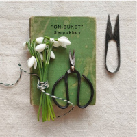 logotip-on-buket-serpuhov